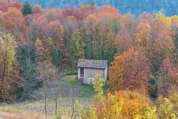 istock Old barn in a colored autumnal forest 1287246025