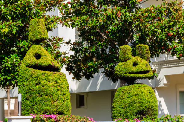 Kemer, Turkey - October 24, 2020: Beautiful funny bush figures in a garden