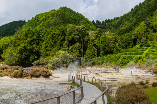 Furnas, Sao Miguel, Azores island