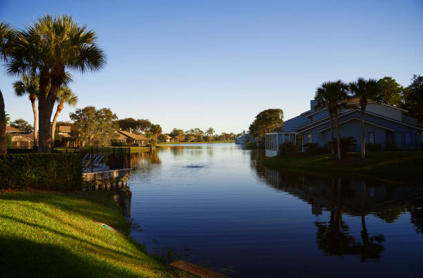 istock View on suburb district with pond and palm trees. Florida, USA 1287252724