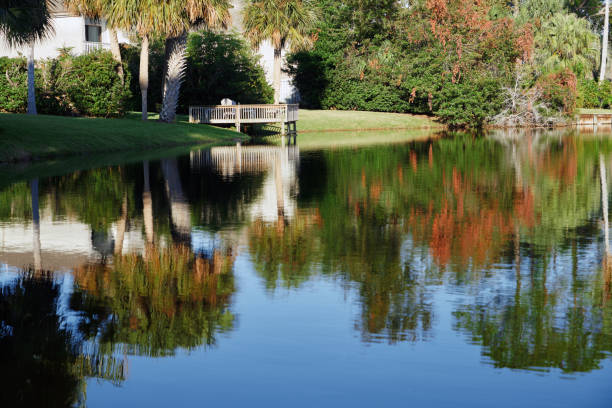 istock Pond at the residential area 1287252883
