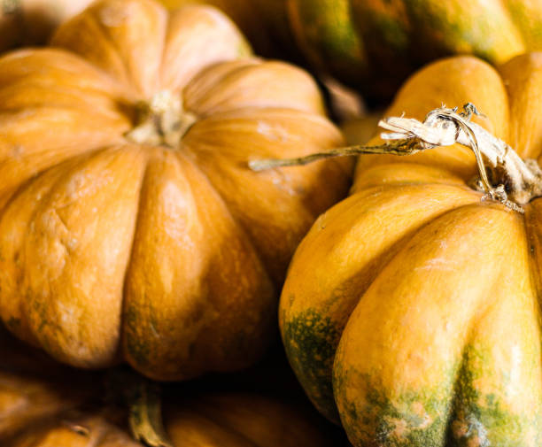 A picture of a bunch of yellowish pumpkins