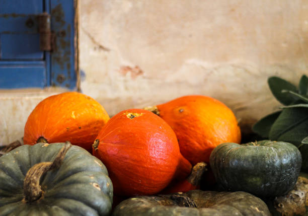 ripe pumpkins green and orange colour