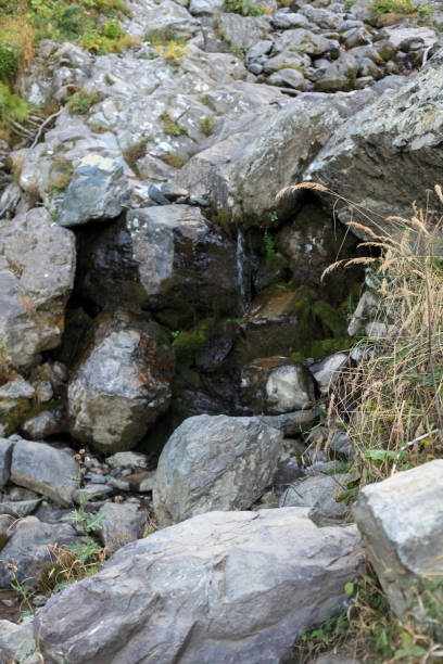 istock Fallen rock. The structure of the stone. Background pattern of stone 1287257594