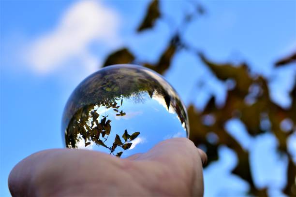 istock Sky and trees trough a lens ball on a hand against a blue sky and branches 1287261978