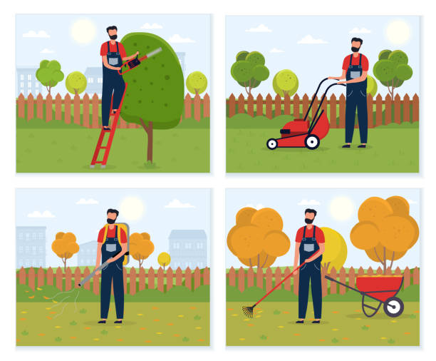 Gardener working at the backyard Gardener working at the backyard. Concept of a male handyman character mowing grass, trimming trees and lawn. Garden maintenance. Set of cartoon flat vector illustrations yard grounds illustrations stock illustrations
