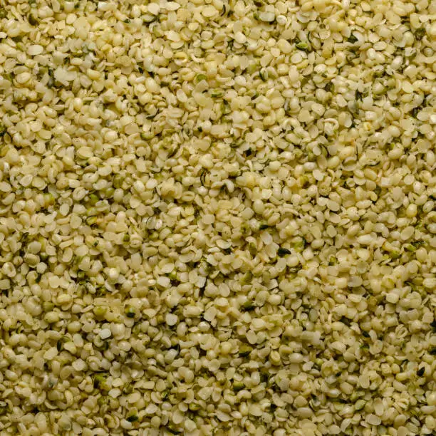 Hulled hemp seeds. Square shaped background and surface of raw and edible hempseeds.  Cannabis sativa, high in protein and a great source of iron. Macro, food photo, top view, from above. Backdrop.