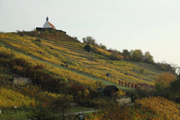 paisagem outono com cores de verão indígena em wurmlingen, alemanha com a capela st. remigius (wurmlinger kapelle) - st remigius - fotografias e filmes do acervo