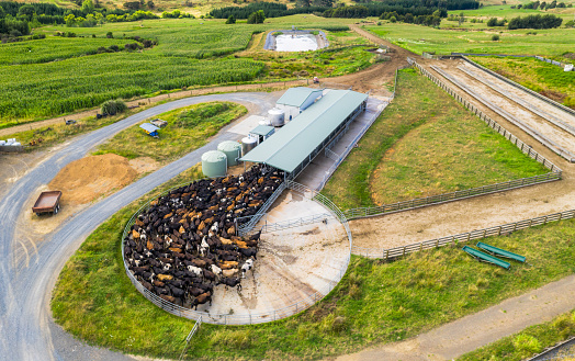 Panoramic aerial view of a cow milking shed in New Zealand.