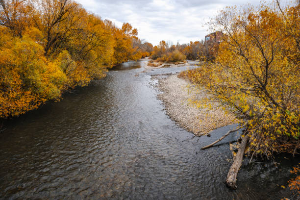 Boise river in downtown Boise Idaho in autumn color