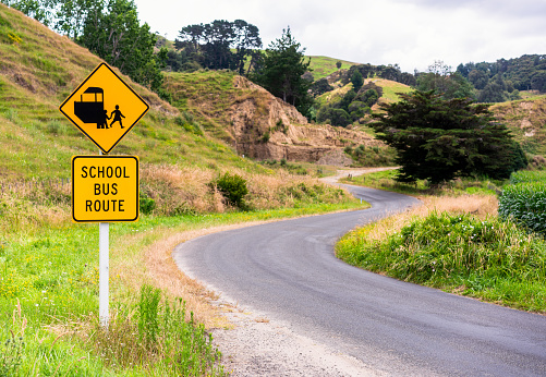 A warning sign for a school bus route on a winding country road on New Zealand's North Island.