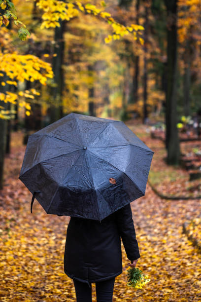무덤에서 비가 내리는 우산을 들고 검은 색을 입은 여성 - widows walk 뉴스 사진 이미지