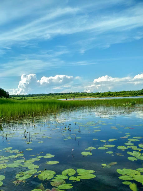 istock summer landscape with river and blue sky 1287268246