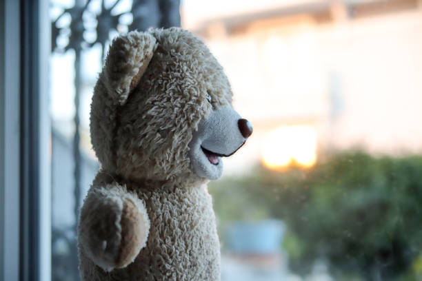 teddy bear looking out of the window