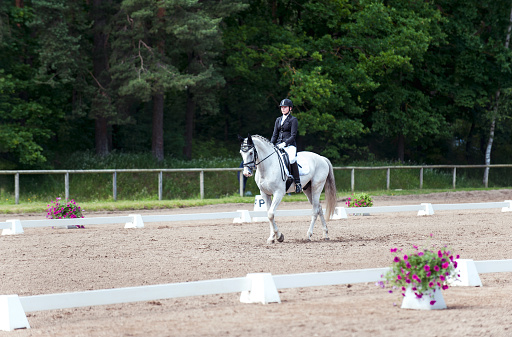 Young woman equestrian in dress uniform riding horseback on arena at show competition. Vibrant multicolored outdoors horizontal image.