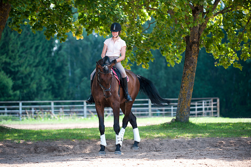 Teenage girl equestrian riding horseback on arena at sport training class. Vibrant multicolored outdoors horizontal image with filter