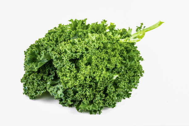 istock Kale leaf salad vegetable isolated on white background. Creative layout made of kale closeup. 1287273589
