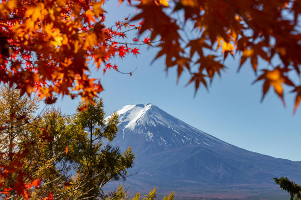 istock View of mountain Fuji in autumn (Japon) 1287274403