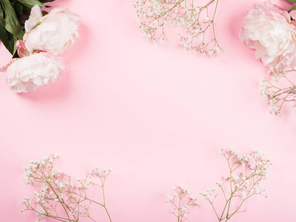 istock Beautiful pink floral background with peonies 1287274689