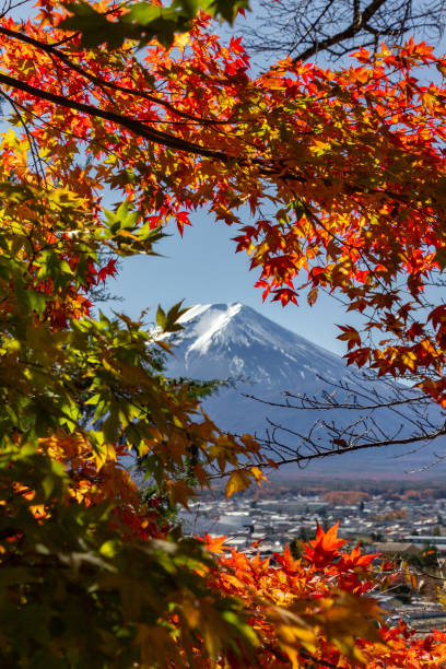 istock View of mountain Fuji in autumn (Japon) 1287275368