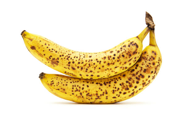 흰색 배경에 분리 된 반점이있는 두 개의 잘 익은 노란색 바나나 - leopard 2 뉴스 사진 이미지