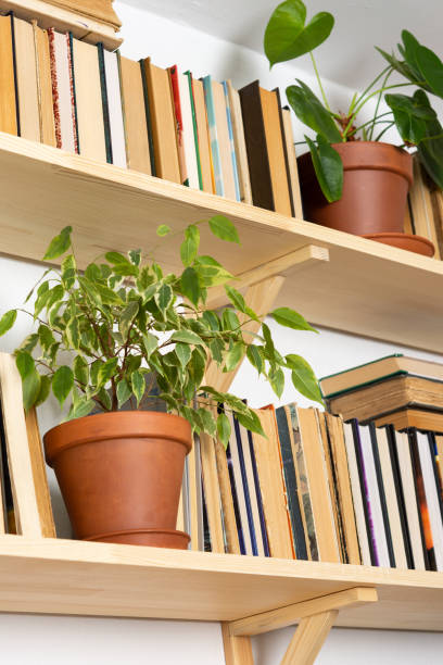 istock Indoor flowers on the bookshelves 1287279794