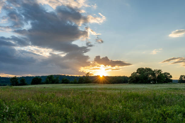 istock Sunset over Grass and Wildflower Field 1287279890