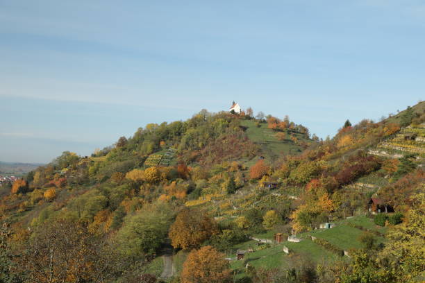 paisagem outono com cores de verão indígena em wurmlingen, alemanha com a capela st. remigius (wurmlinger kapelle) - st remigius - fotografias e filmes do acervo
