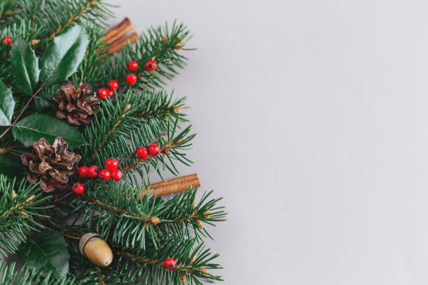 istock Christmas background with spruce branches, red berries, cones and cinnamon sticks. Holiday eco-friendly concept. 1287282373