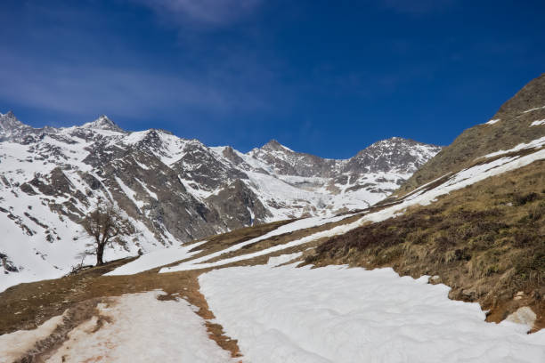 istock Hiking trail to hannig 1287282559