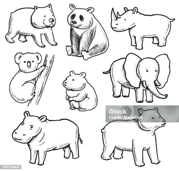 Overweight Animals Doodles Set Stock Illustration - Download Image Now -  Elephant, Bear, Doodle - iStock