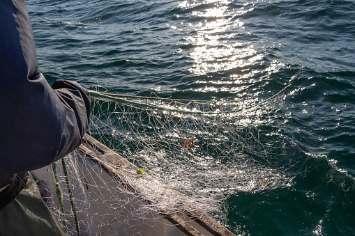 Fisherman bringing back net in a boat in Brittany