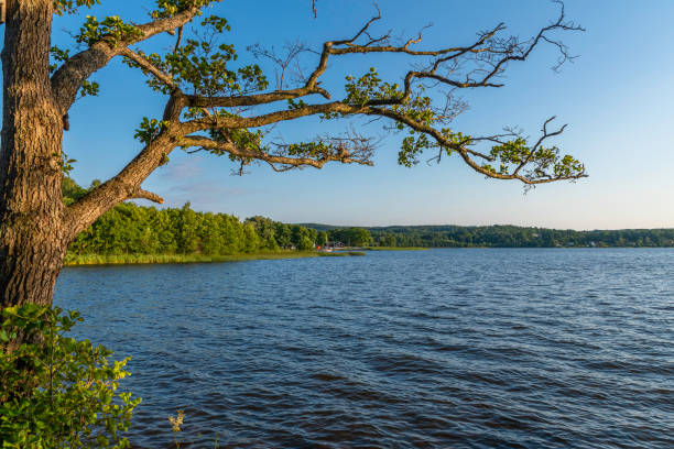 istock Summer view in Sweden 2020 1287291042
