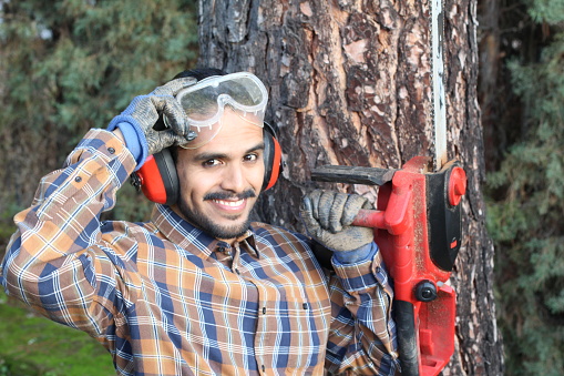 Ethnic lumberjack working with a chainsaw.