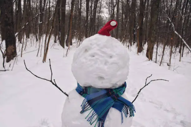 Closeup portrait of snowwoman or snowman in Christmas hat and scarf in forest on a winter day