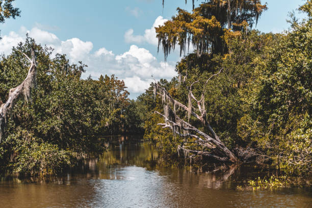 istock Beautiful day in Louisiana 1287294147