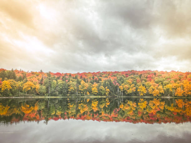 Breathtaking reflection of vibrant autumn forest trees on a beautiful lake and a dramatic cloud filled sky. stock photo
