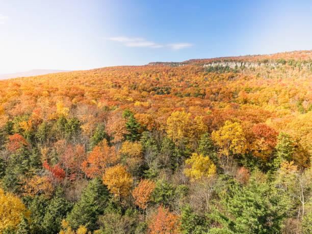 Autumn landscape with vibrant colors. stock photo