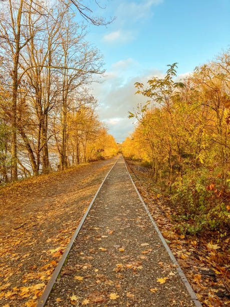 Train track with converging lines and lined with multicolored trees in autumn. stock photo
