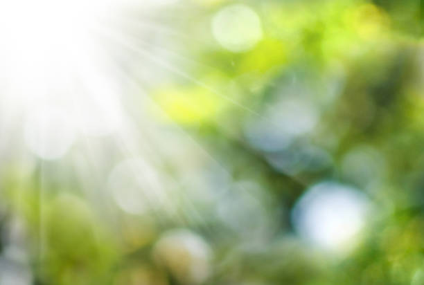 istock abstract image of natural blurred background closeup 1287295998