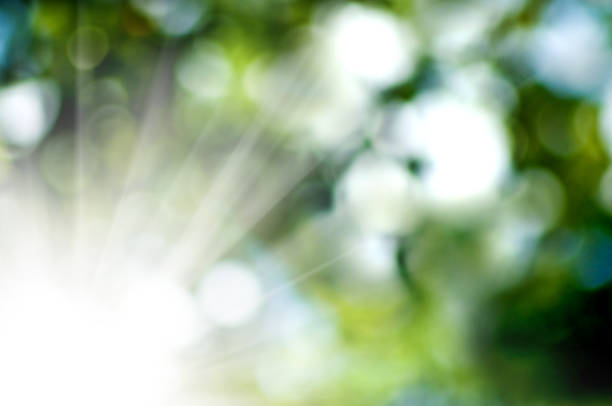 istock abstract image of natural blurred background closeup 1287297934