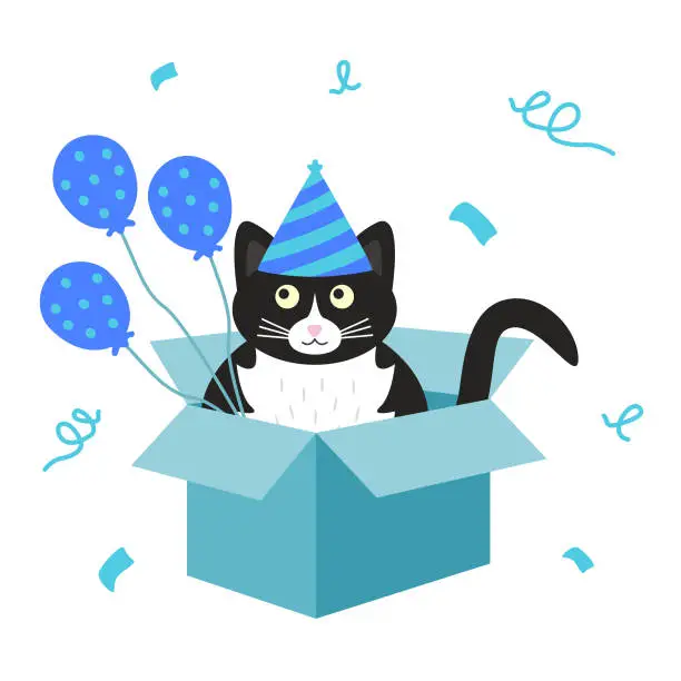 Vector illustration of Cute black and white cat sitting in a cardboard box in a blue cap with blue balloons.