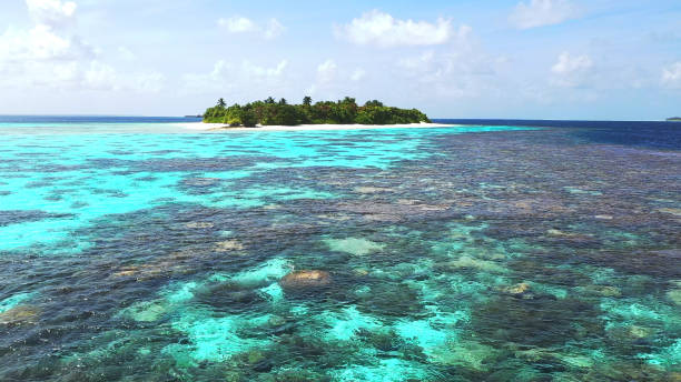 istock Tropical island in Maldives 1287299000