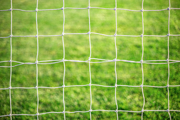 istock White soccer goal net on grass background. 1287299216