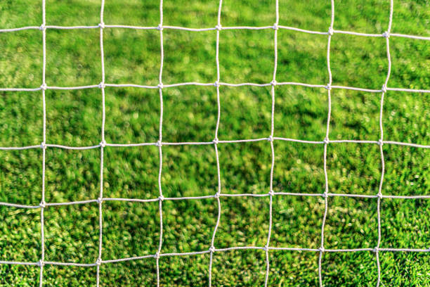 istock White soccer goal net on grass background. 1287299236