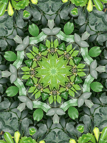 Kaleidoscopic oil painted flora and leaf background