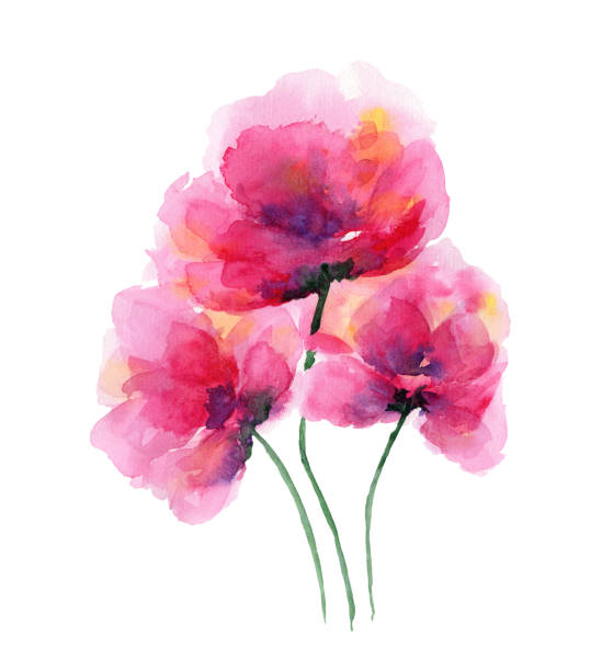 istock Tender pink watercolor anemone flowers arrangement 1287304407