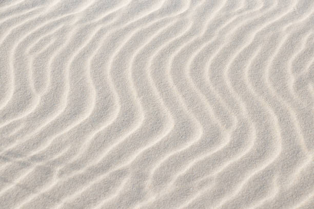 istock Sandy beach for the background. Shadows and patterns on the sand of dune. Background, sand, light, beige, wave, reflect, shadow, summer. Nature background. 1287304430
