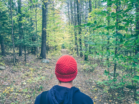 A beautiful trail in the Adirondack Mountains in New York State, a premiere travel destination for hiking. A young man pauses on the trail to take in the beauty.