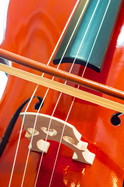 istock Close up of bridge, violin part 1287305864